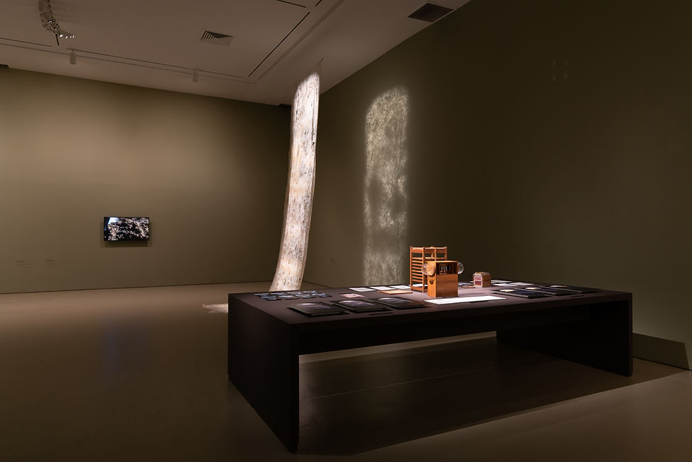 Silkworm Project NTU CCA - Exhibition 3 - Vivian Xu.jpg