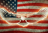 flag 1.gif