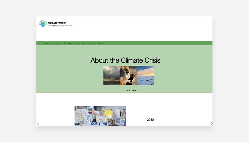Gen Z for Green nonprofit website.