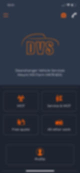 DVS loyalty app