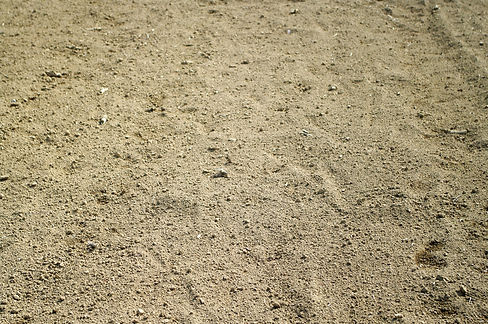 photo0000-0355 (1).jpg