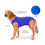 Miniatura: Ropa postquirúrgica para perros y gatos.