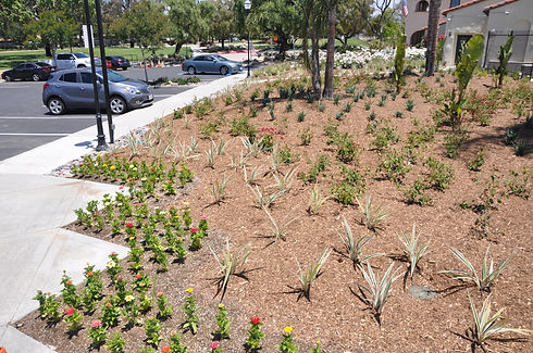 temecula landscaping