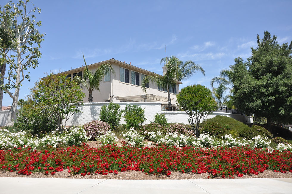 Temecula Landscaping