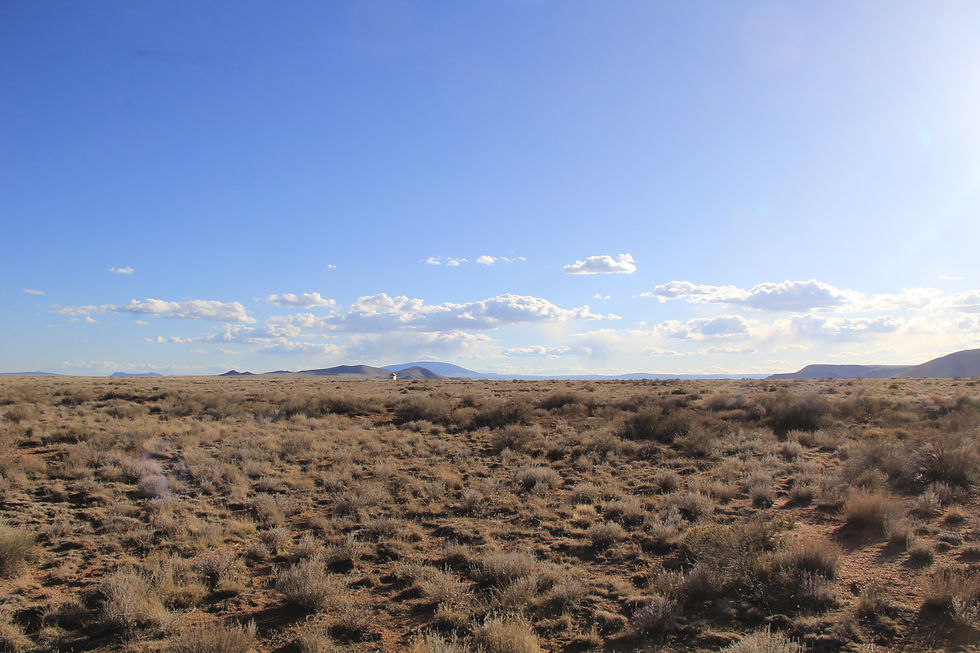 Thumbnail: Your Colorado Escape Awaits on 4.4 Acres, $169/MO!