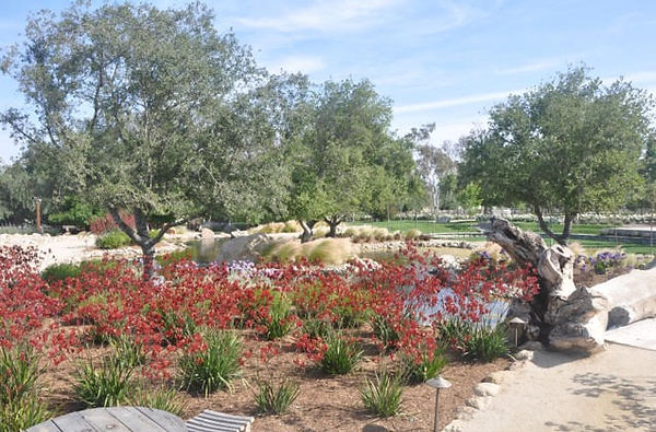 temecula landscaping