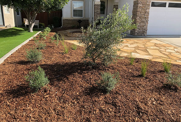 temecula landscaping