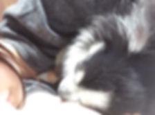 image2.jpeg