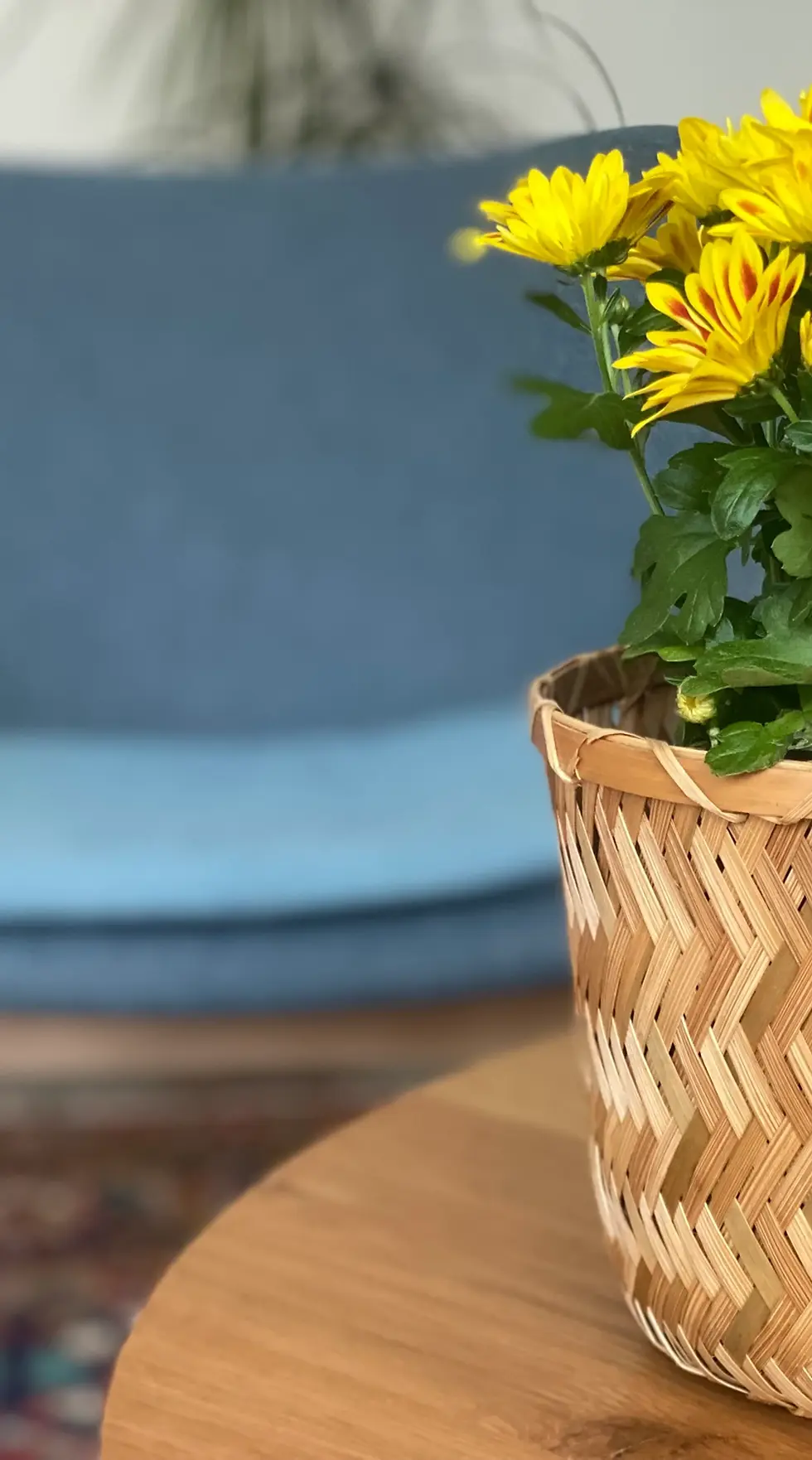 Mag. Dr. Monika Dreher-Weber – Praxis für Psychotherapie und klinische Psychologie in Salzburg