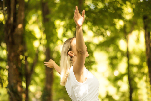 4d gayrimenkul yasam 6