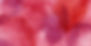 4197001a77e068a611cc2f9d8b734f7b_edited.jpg
