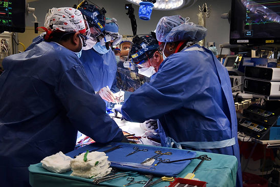 Man from U.S. gets Genetically-Modified Pig Heart in World-first Transplant