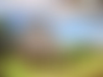 Where is GREEN HOME located ?