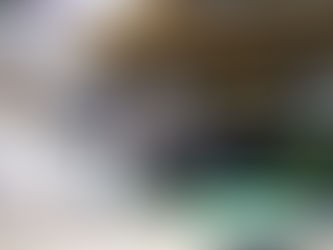 今シーズン到来