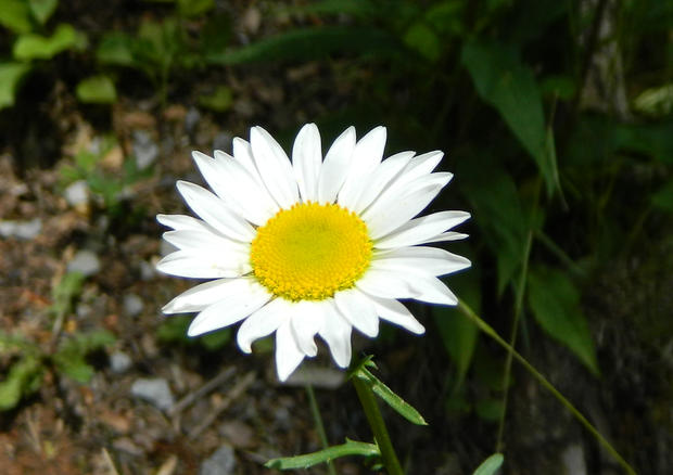 RSCN2570.JPG
