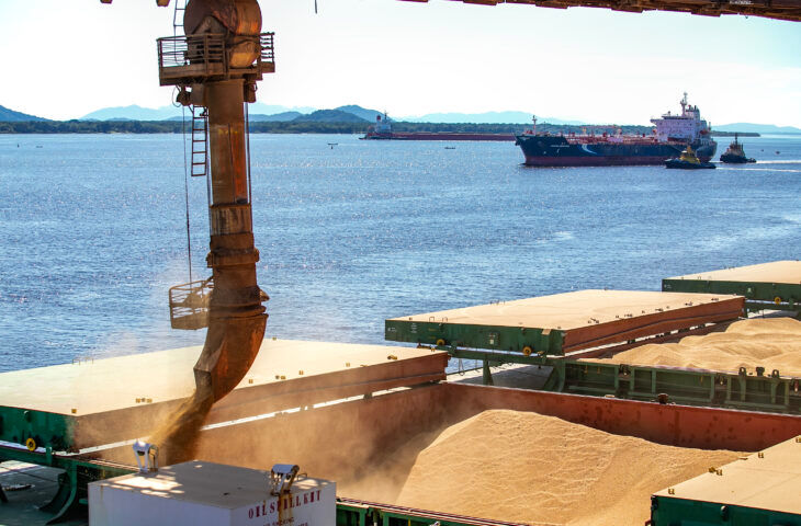 Exportação