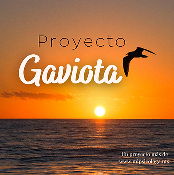 Grupos de autoestima proyecto gaviota
