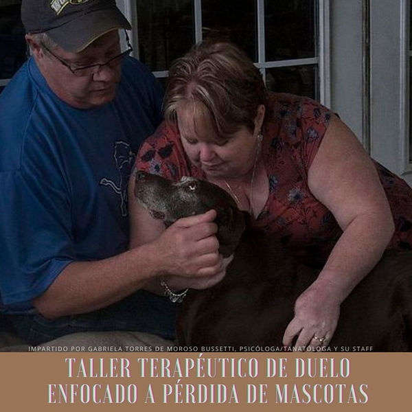 Taller de duelo por animalitos de compañía