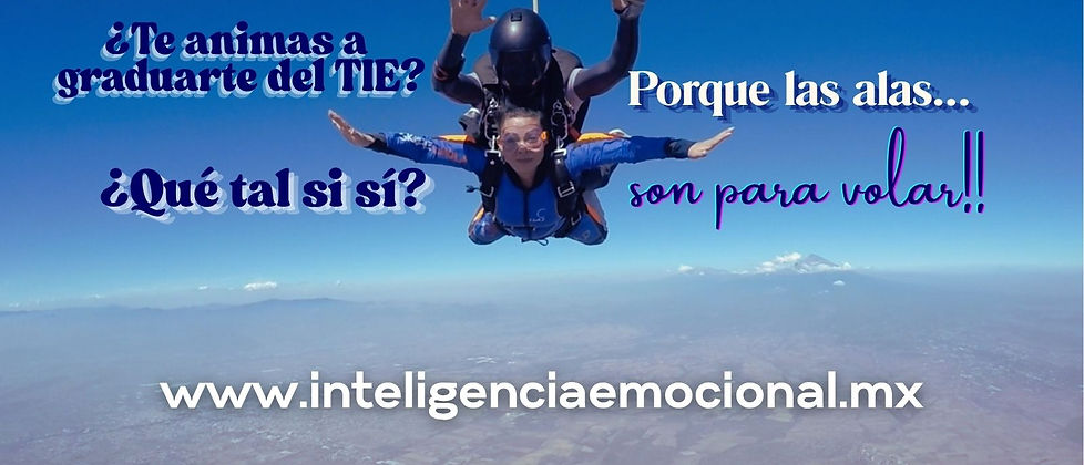 TIE PARACAIDAS.jpg