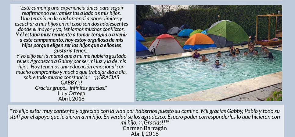 Campamento Inteligencia emocional por Gabriela Torres de Moroso Bussetti