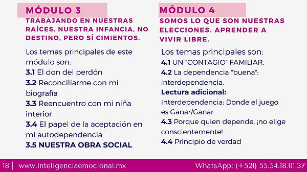Campamento Codependencia emocional