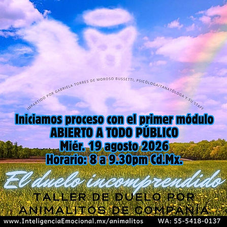 flyer animalitos 0826.jpg