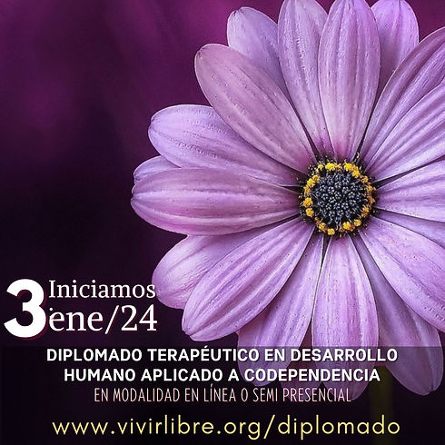 Diplomado en desarrolllo humano aplicado a la codependencia