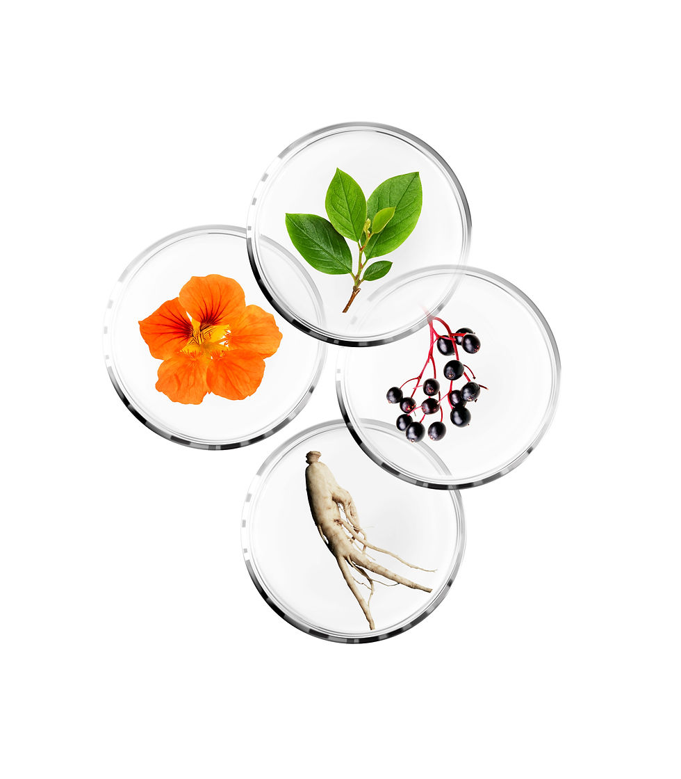 Compo_Petri_Detox_Blanc NEW_2 copie.jpeg