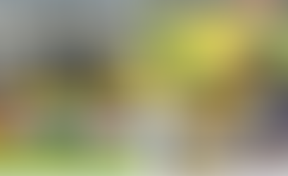 Top 10 World Cup Goalkeepers