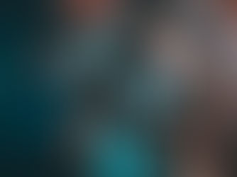 14. 11. 2025 // GUFRAU