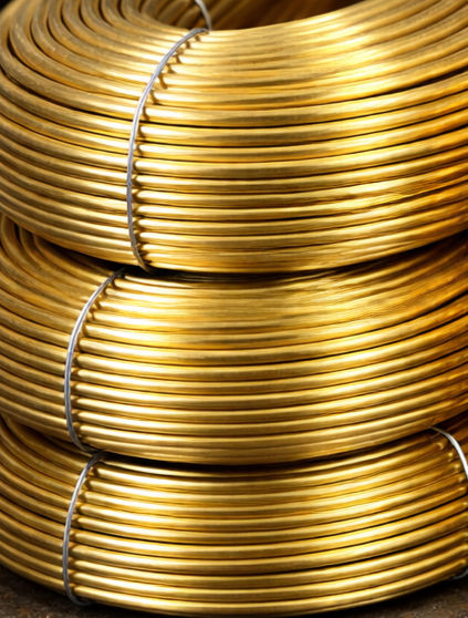 ChatGPT Image Feb 21, 2026, 04_16_57 PM_edited.jpg