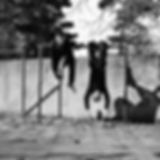 Kosmetik Institut | Midnight Swimmers