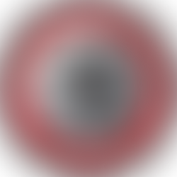 Wisewood Juniors Partnership | Sports Physiotherapy Sheffield | Flex