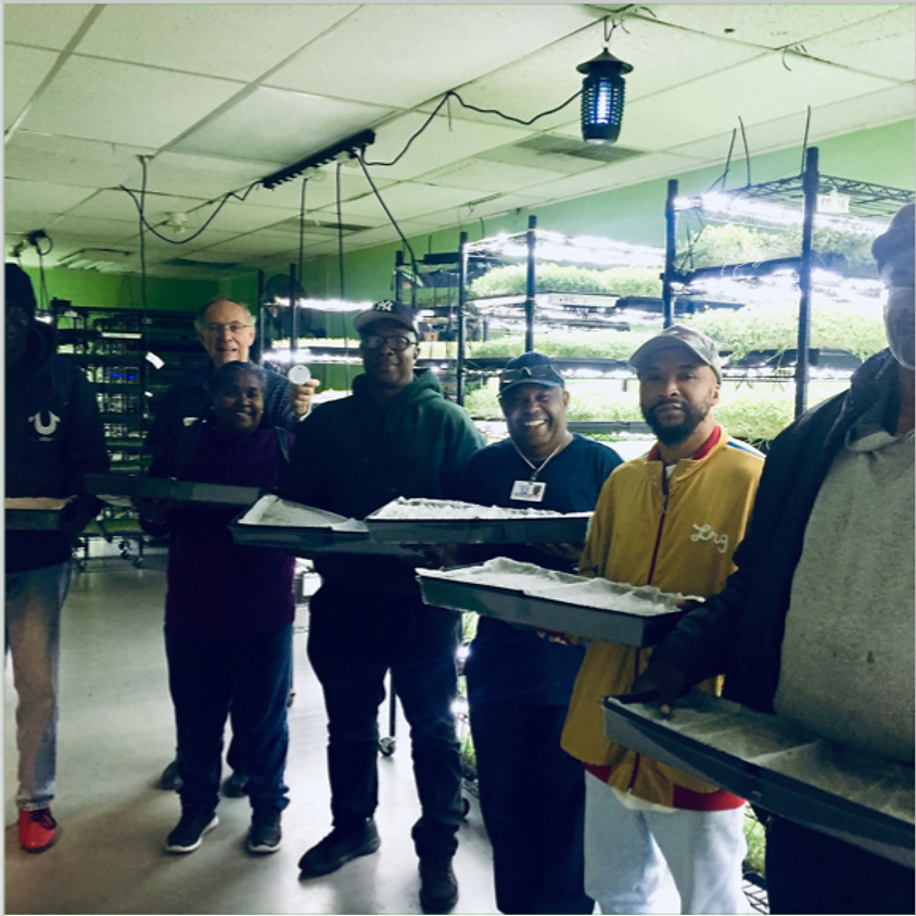 VA Workshop 2019: Microgreen Production Part 1