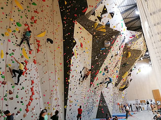 Le Mur #4.jpg