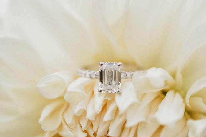 Cayla & Carlton's Engagement at Longwood Gardens-69_edited