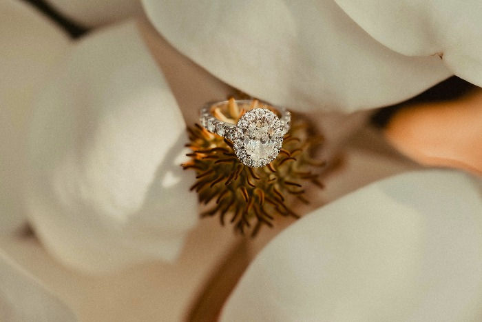 Bridget & Tommy's Engagement at Nemours Estate-86_edited