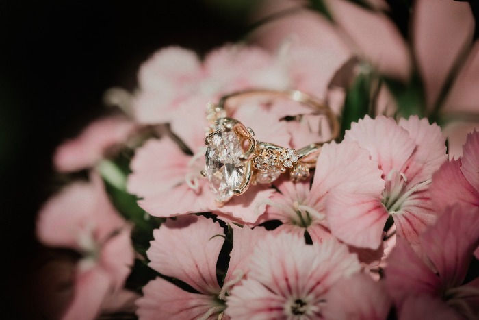 Amar & Apurva's Surprise Engagement at Longwood Gardens-42_edited