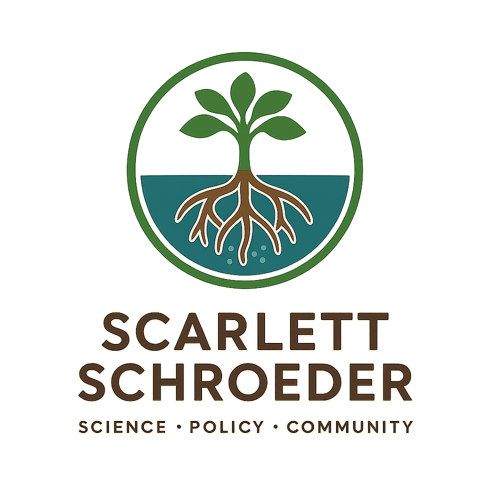 ChatGPT Image Sep 9, 2025, 04_53_55 PM.png