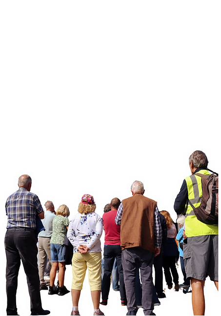 Untitled design (28)_edited.png