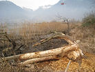 VD_LL3_Lagune_TCHA_6117.JPG