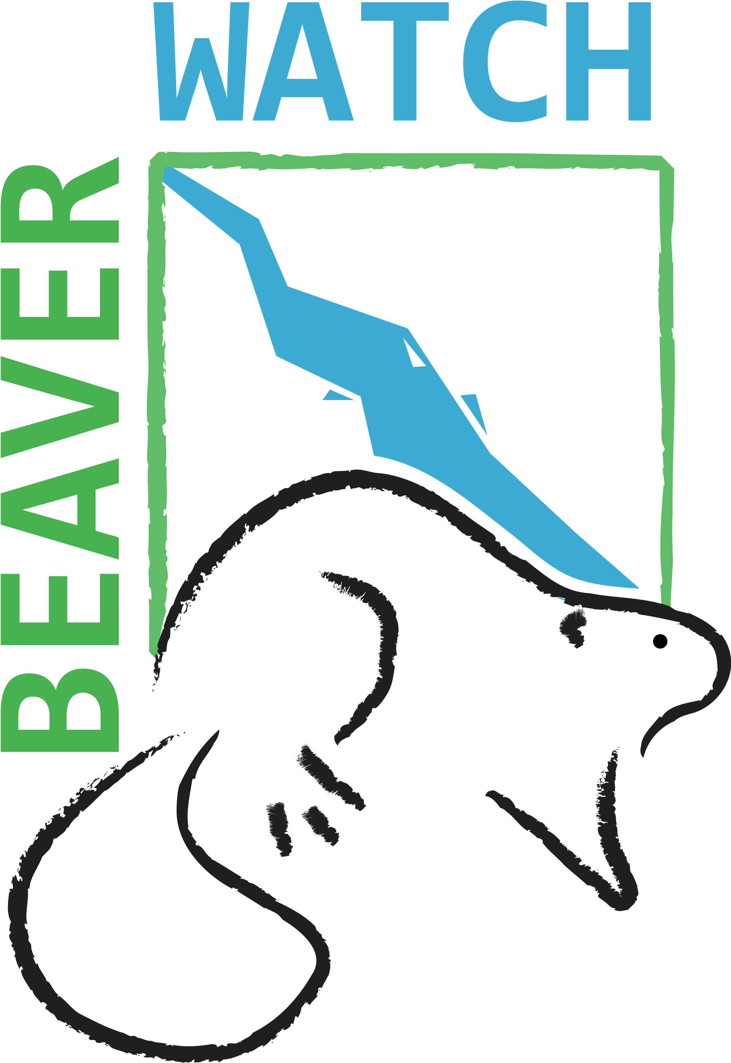 Association Beaverwatch, suivi du castor