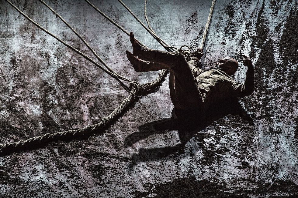 XENOS©JeanLouisFernandez024