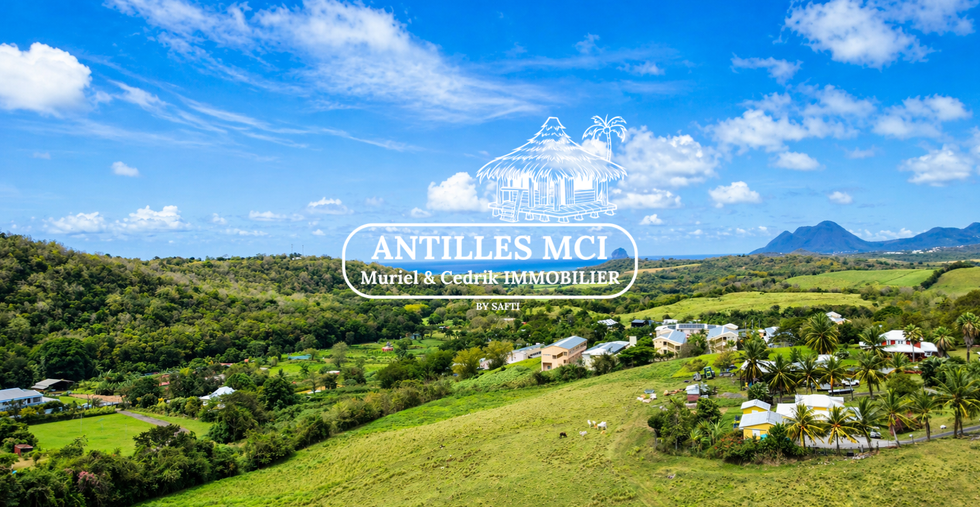 Vue drone de la maison à vendre à Sainte-Luce Martinique avec vue mer – Antilles MCI