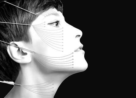 Shutterstock_1214568838_edited_edited_edited.jpg