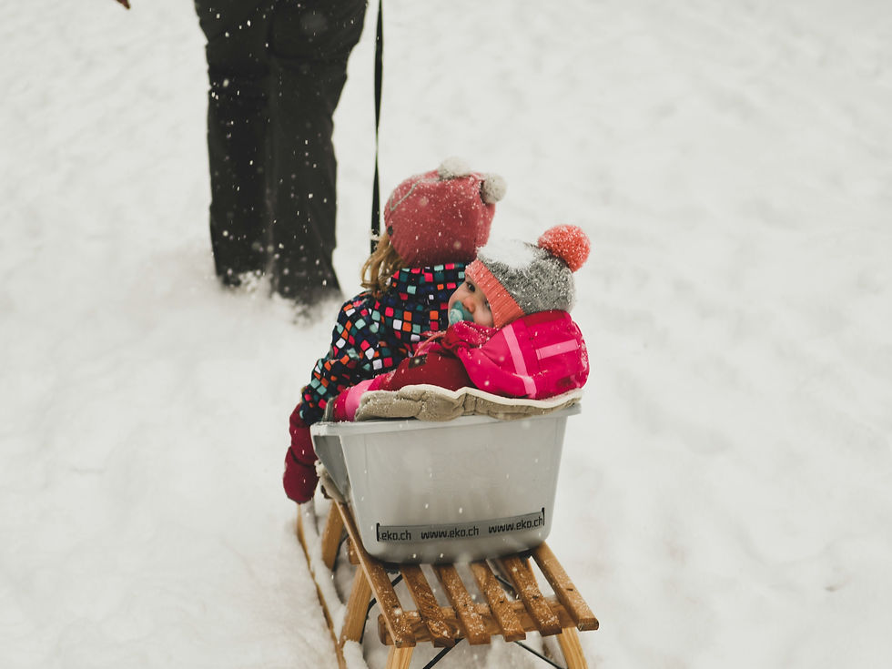 two children being pulled through the snow on a sled
