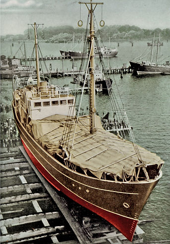 Loggerbau 1951