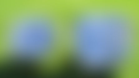 High demand for the ASSC CAMPER