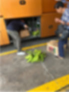 Banana express shipping