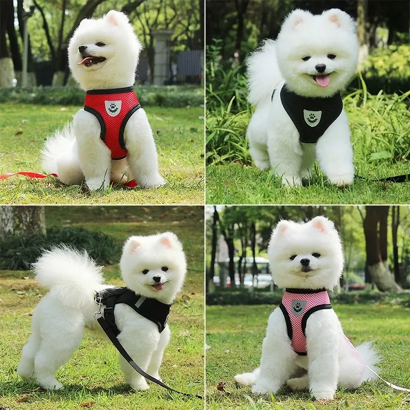 Miniatura: Guia de 120 cm + Coleira tipo colete para gatos e cães de pequeno e médio porte